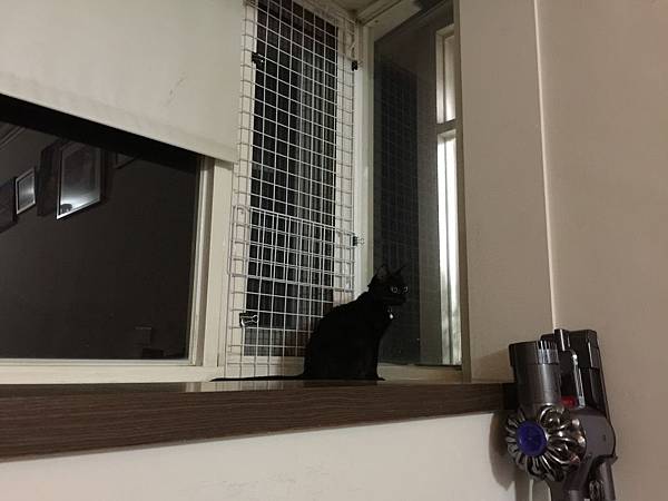 IMG_0649.JPG IMG_0649.JPG