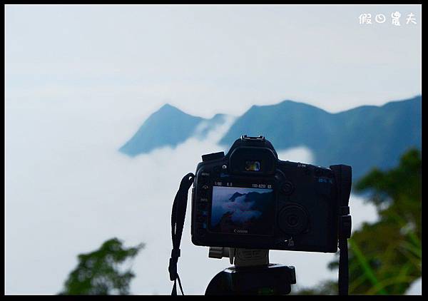 杉林溪雲海DSC_3962