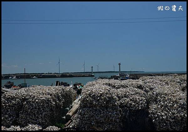 活力海岸DSC_2332