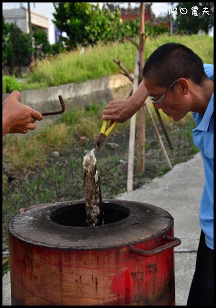 水哥番茄DSC_3238