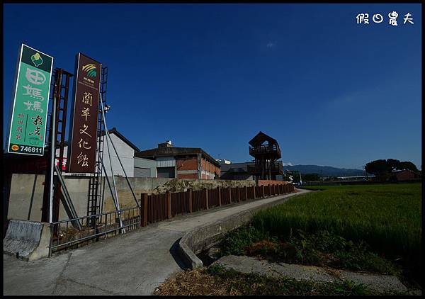 彩繪稻田DSC_9939