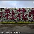中社花市DSC_9691