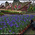 中社花市DSC_9733