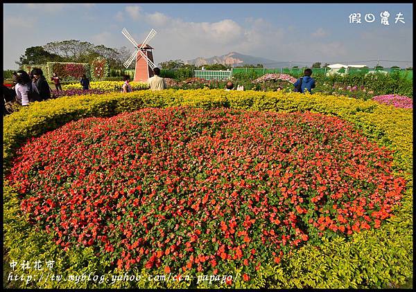 中社花市DSC_0673