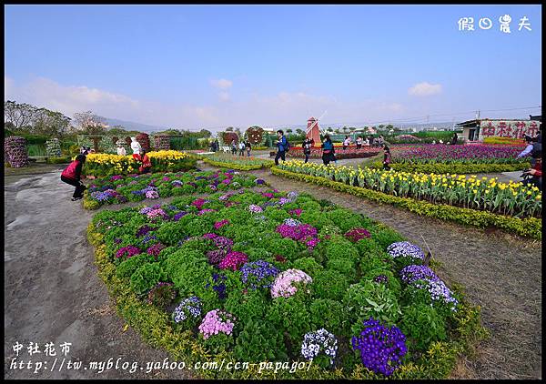 中社花市DSC_0693