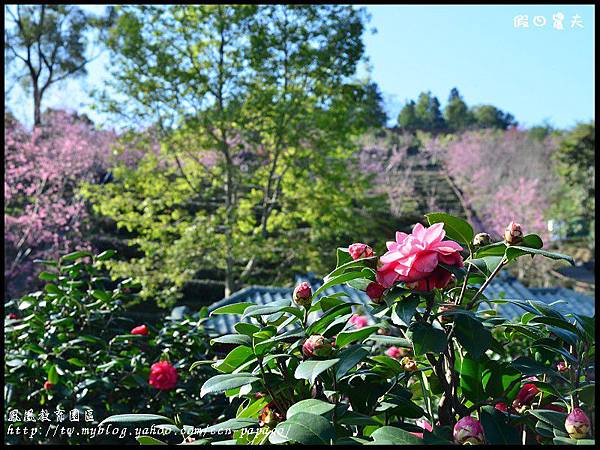 鳳凰教育園區DSC_2981