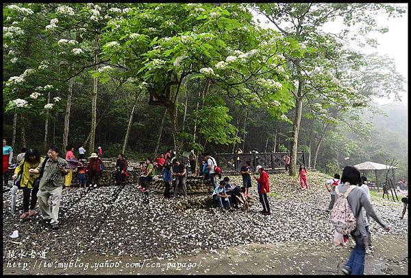 挑水古道_DSC0731