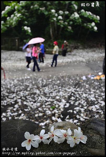 挑水古道_DSC0758