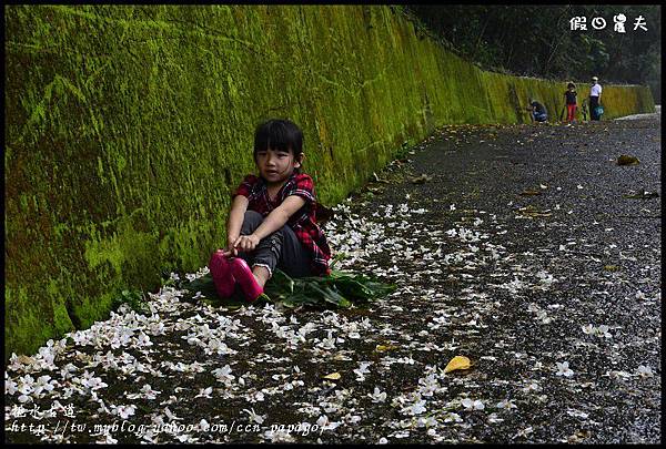 挑水古道_DSC0897