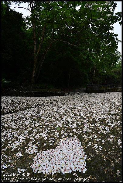 2013挑水古道_DSC0610