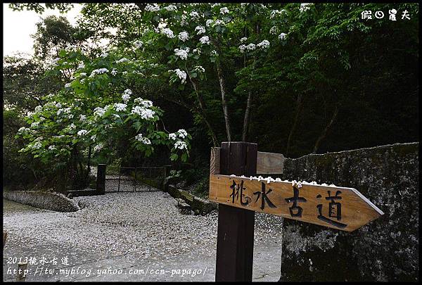 2013挑水古道_DSC0616