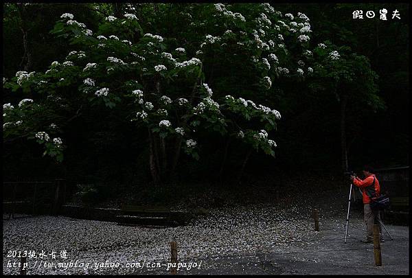 2013挑水古道_DSC0624