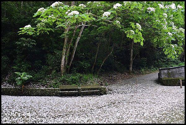 2013挑水古道_DSC0606