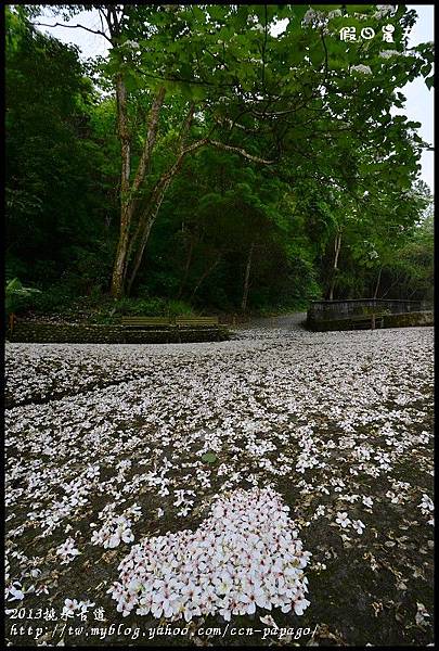 2013挑水古道_DSC0610