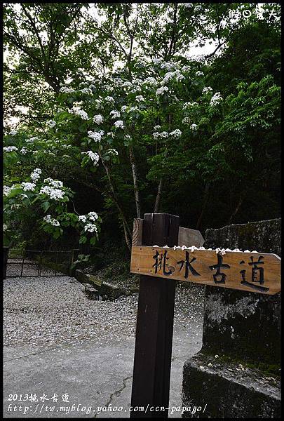 2013挑水古道_DSC0617