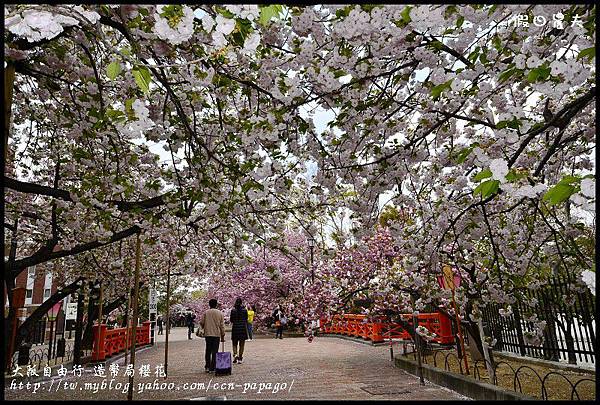 大阪自由行-造幣局櫻花_DSC9018