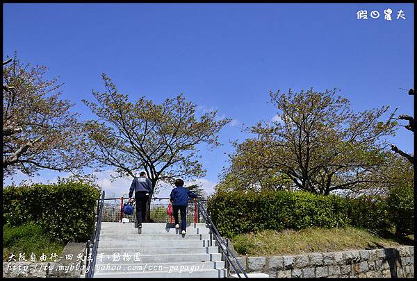 大阪自由行-四天王寺+動物園_DSC9378