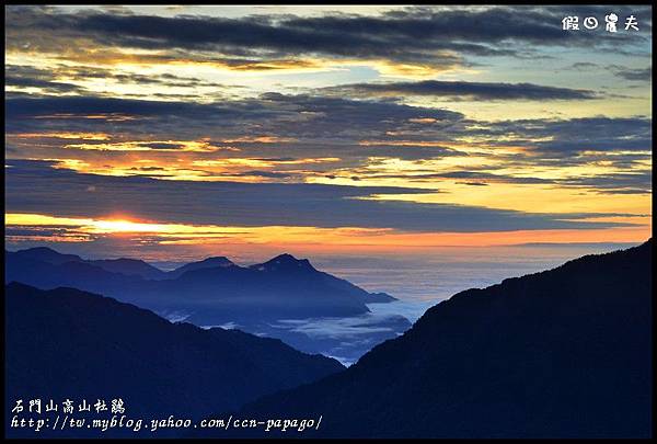 石門山高山杜鵑_DSC2054