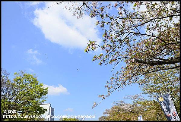 大阪城_DSC9920