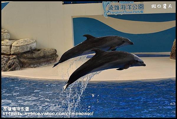 花蓮海洋公園_DSC6863