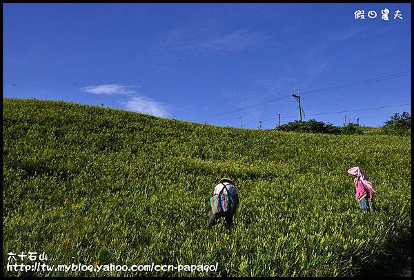 六十石山_DSC7659