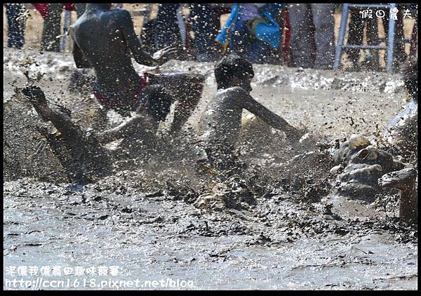 泥儂我儂農田趣味競賽DSC_0200