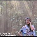 The COLOR WALK彩色健走DSC_8817