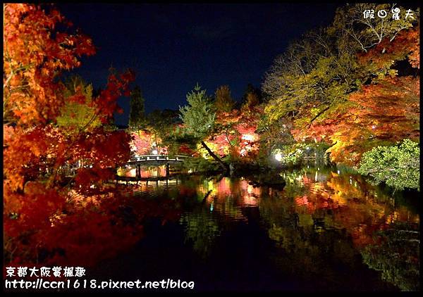 京都大阪賞楓趣DSC_3713