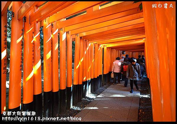 京都大阪賞楓趣DSC_5423