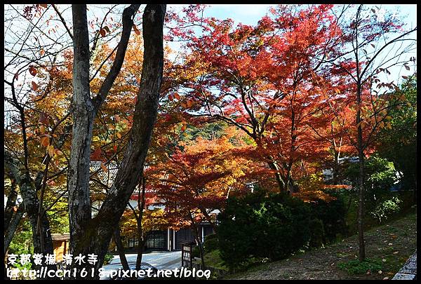 京都賞楓-清水寺DSC_2814