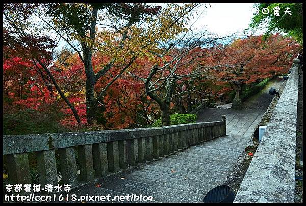 京都賞楓-清水寺DSC_2838