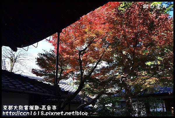 京都大阪賞楓趣-高台寺DSC_3019