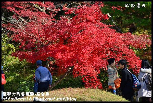 京都大阪賞楓趣-高台寺DSC_3041