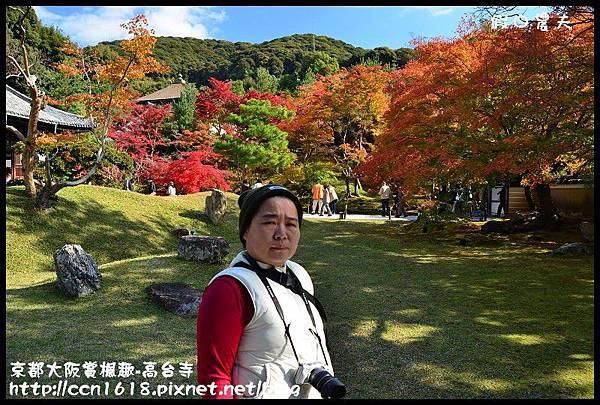 京都大阪賞楓趣-高台寺DSC_3048