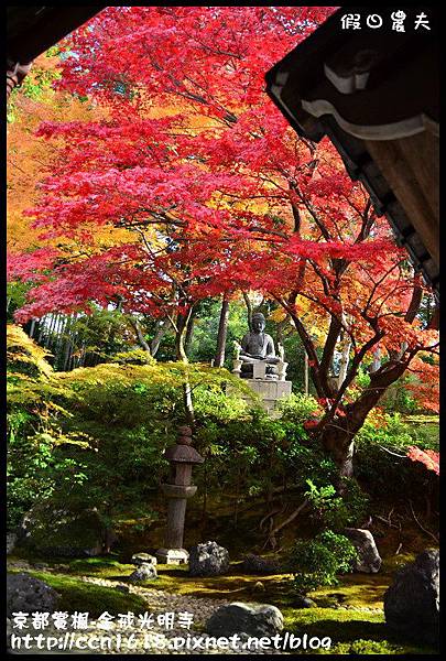 京都賞楓-金戒光明寺DSC_3213