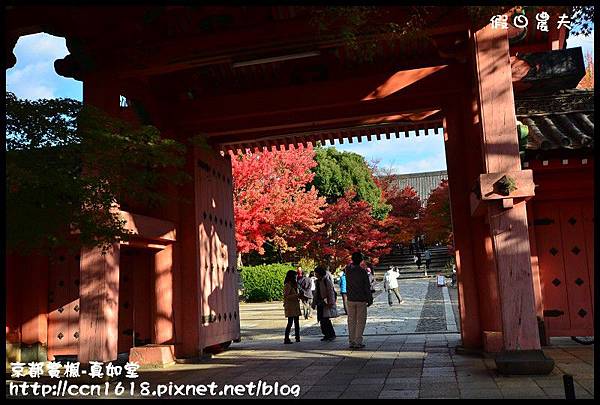 京都賞楓-真如堂DSC_3282