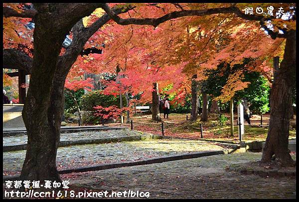 京都賞楓-真如堂DSC_3318