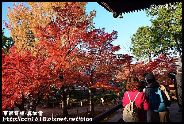 京都賞楓-真如堂DSC_3454