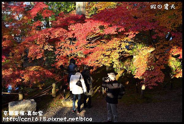 京都賞楓-真如堂DSC_3455