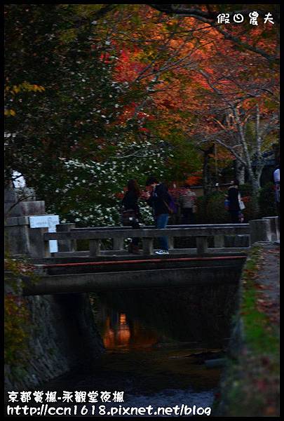 京都賞楓-永觀堂夜楓DSC_3530