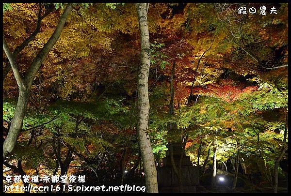 京都賞楓-永觀堂夜楓DSC_3676