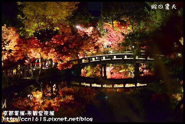 京都賞楓-永觀堂夜楓DSC_3689