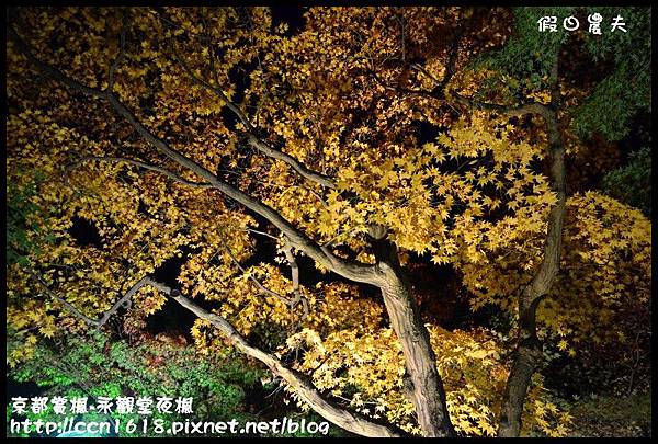 京都賞楓-永觀堂夜楓DSC_3745