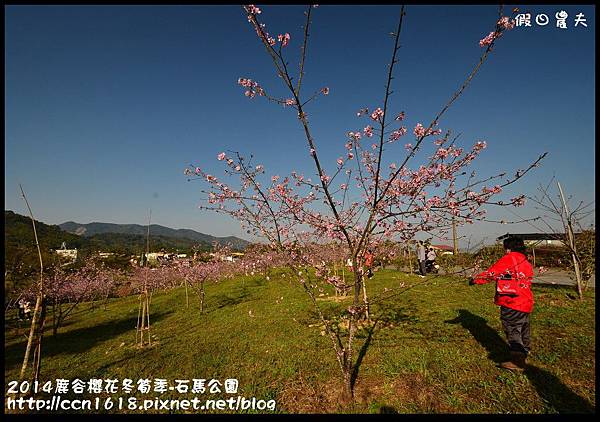 2014鹿谷櫻花冬筍季-石馬公園DSC_1670