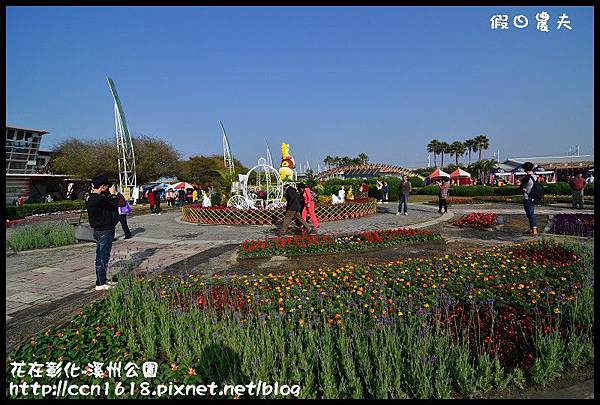 花在彰化-溪州公園DSC_3161