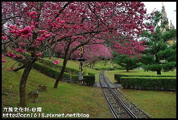 九族文化村-日櫻DSC_4475