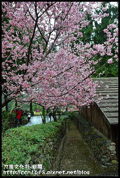 九族文化村-日櫻DSC_4711