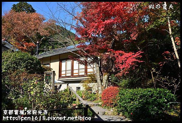 京都賞楓-常寂光寺DSC_4251