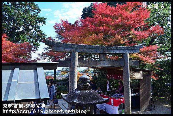 京都賞楓-常寂光寺DSC_4363