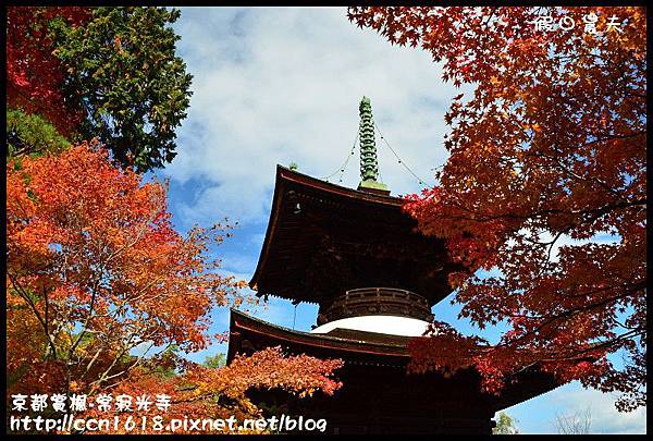 京都賞楓-常寂光寺DSC_4413